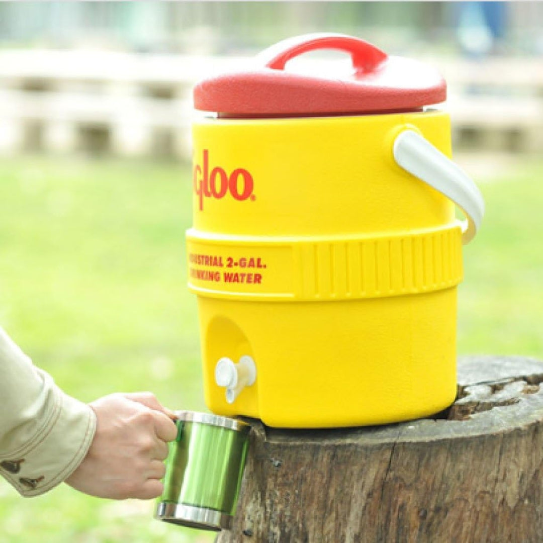 Hielera Cooler de 2 Galones Igloo 421