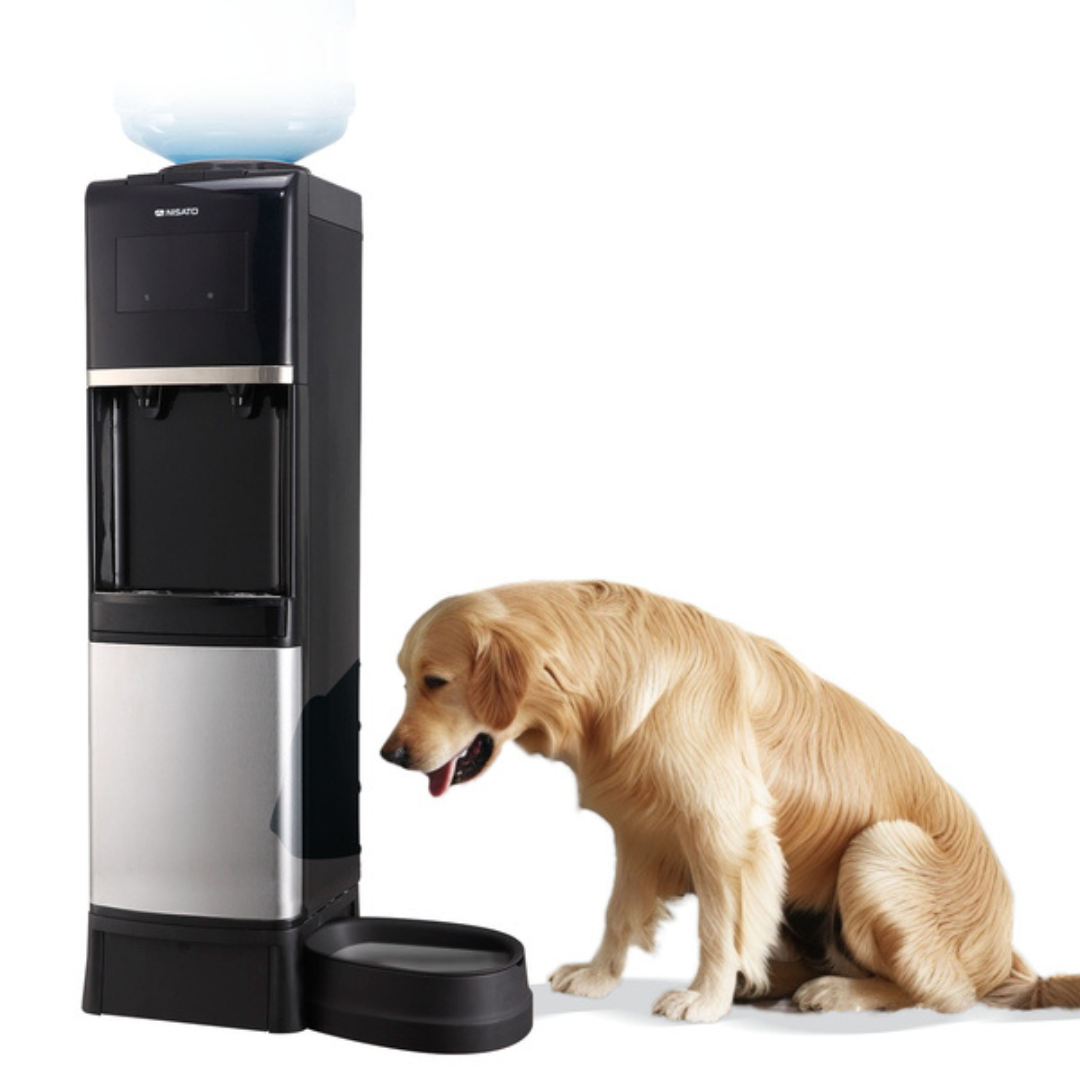 Dispensador de Agua con Anexo para Mascostas Nisato NWD-11PET10 NISATO