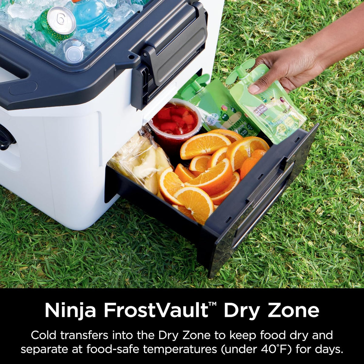 Hielera Cooler Ninja FrostVault FB131QWH de 30 Qt / 28 Litros con Cold Dry Zone – Blanca