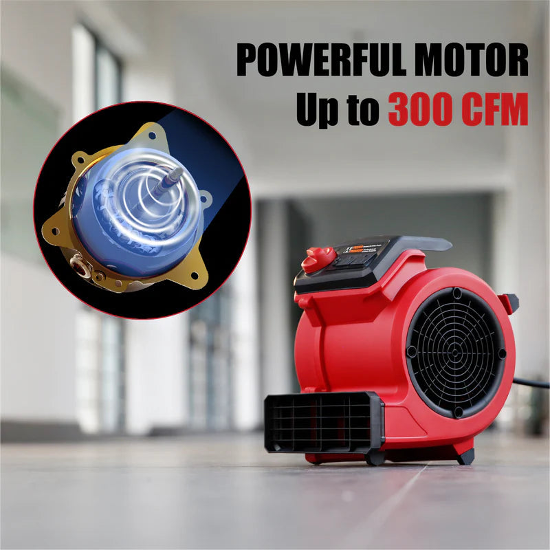 Secador De Piso De Aire Blower 3 Velocidades. "NO Sopla Aire Caliente, Solo Aire Ambiente" Vacmaster VK-AM201 Vacmaster