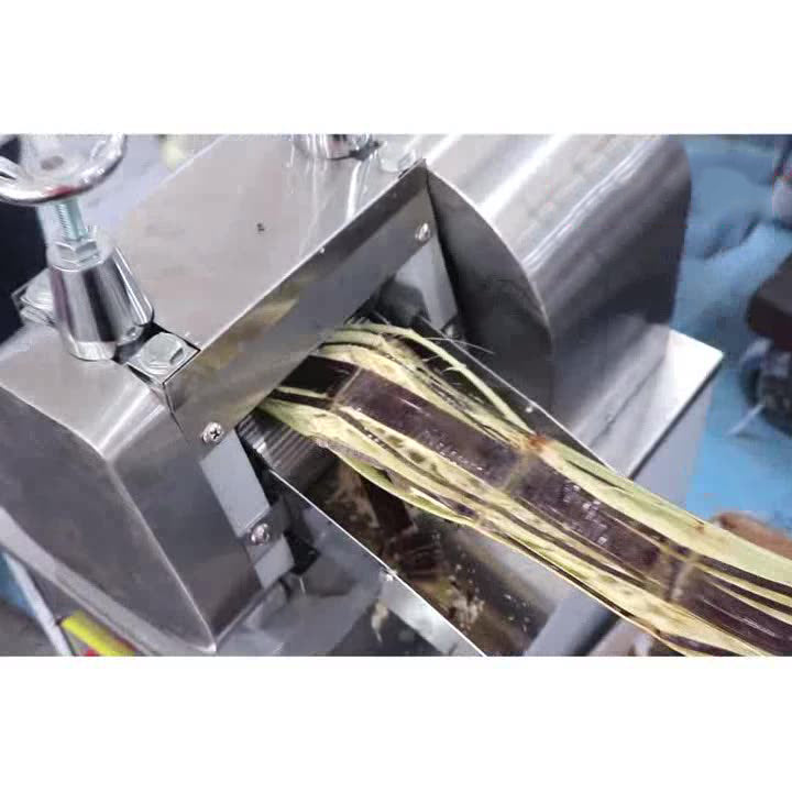 Máquina Extractor de Jugo de Caña de Azúcar de Sobre Mesa 750W ZZJ-83