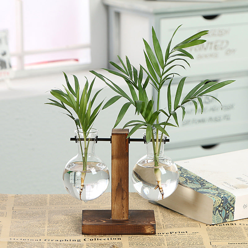 Soporte de Flores Plantas Hidropónico de 16ml x 2 41283 Selecto