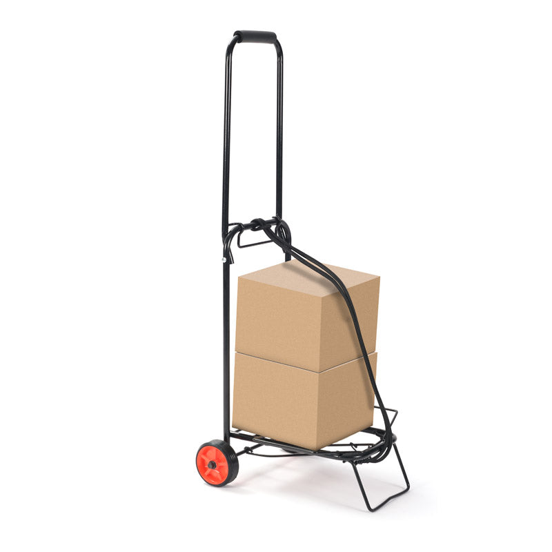 Carrito de Metal Plegable 432560 Selecto