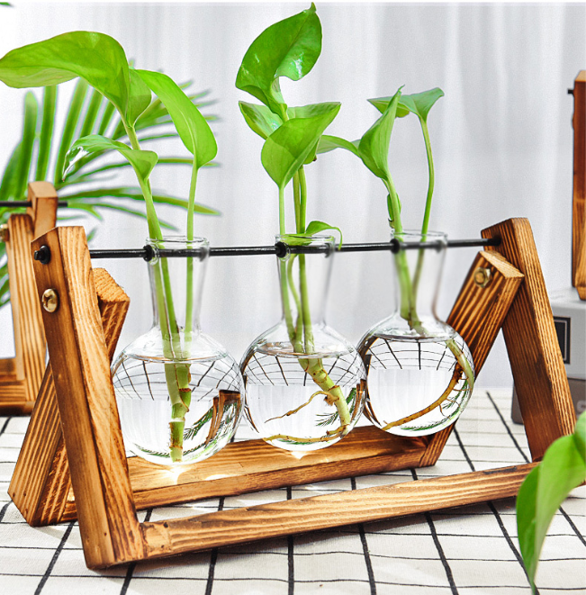 (LLEGANDO 27 DE MARZO) Soporte de Flores Plantas Hidropónico de 16ml x 3 41282