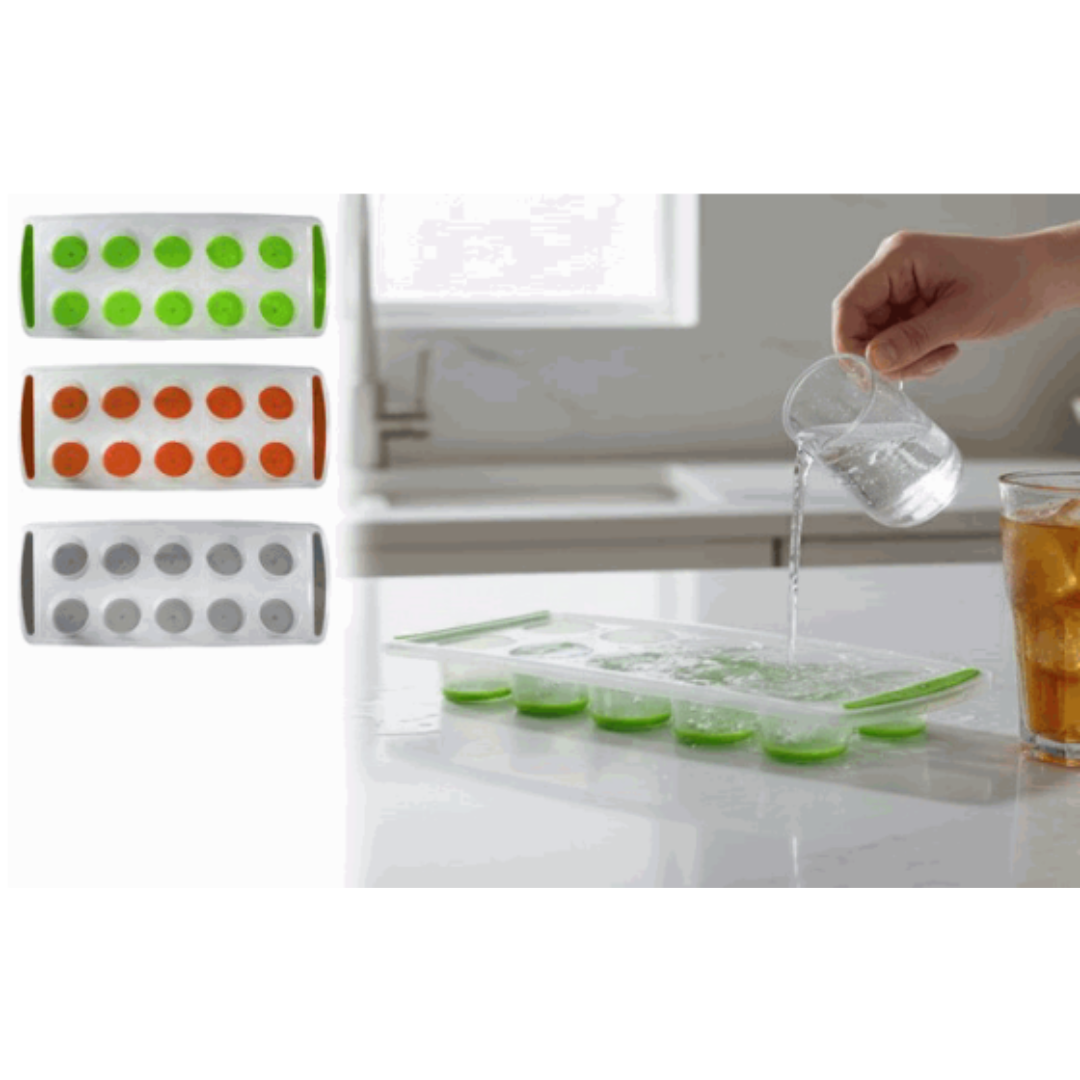 Molde para Hielo 10 Divisiones 89538 Selecto