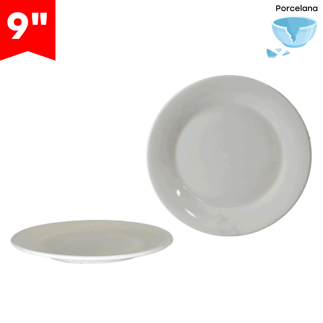 Plato de Porcelana 9" 87697 Selecto