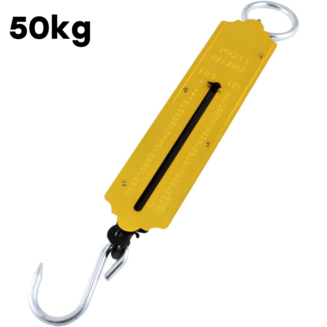 Báscula Romana de 50kg/112lb B-250R