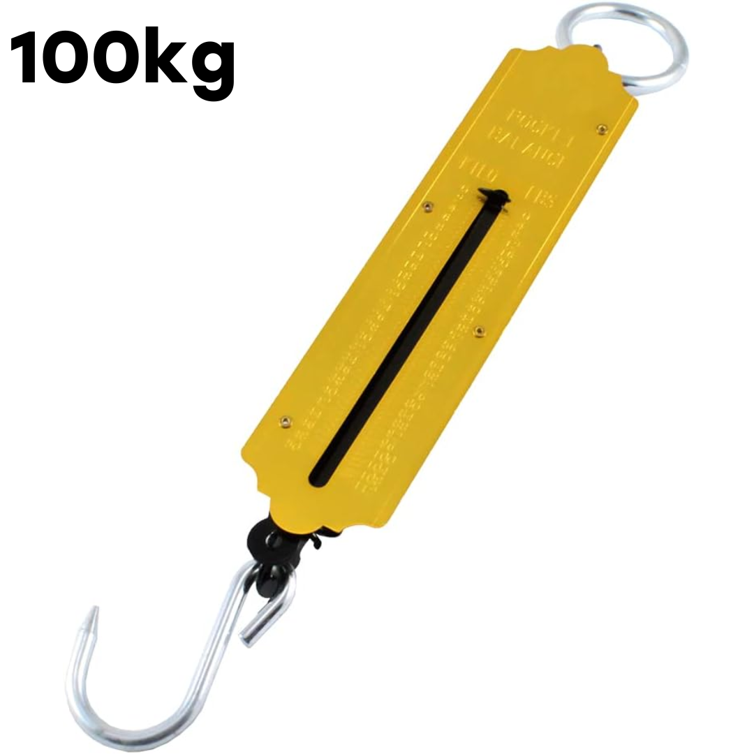 Báscula Romana de 100kg/224lb B-3100R