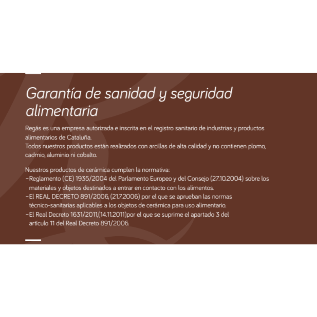 Cazuelas Rectangular de Cerámica 38x26cm Regás