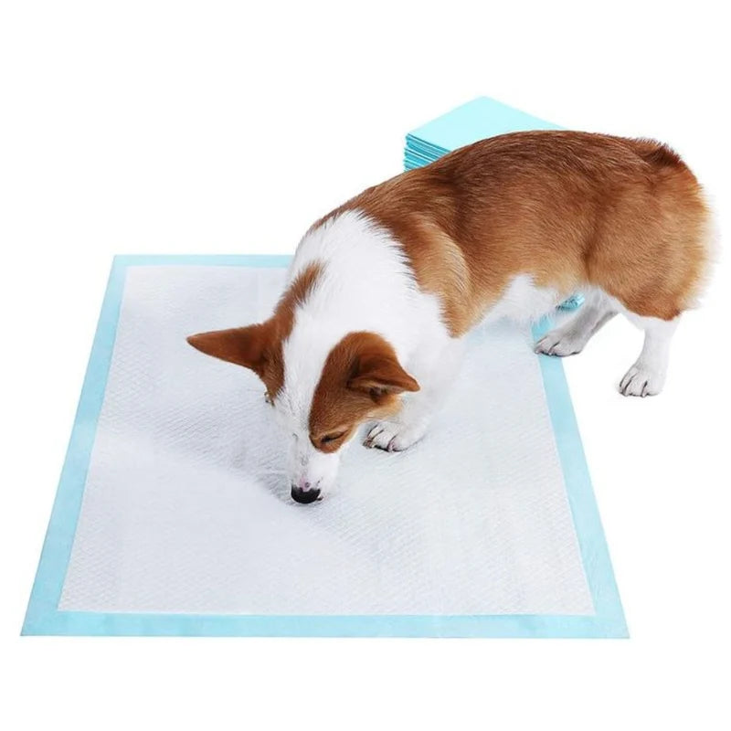 Pads De Entrenamiento Desechables Para Perros Mascotas 33Cm X 45Cm. (Pack De 100 Unidades) AB357
