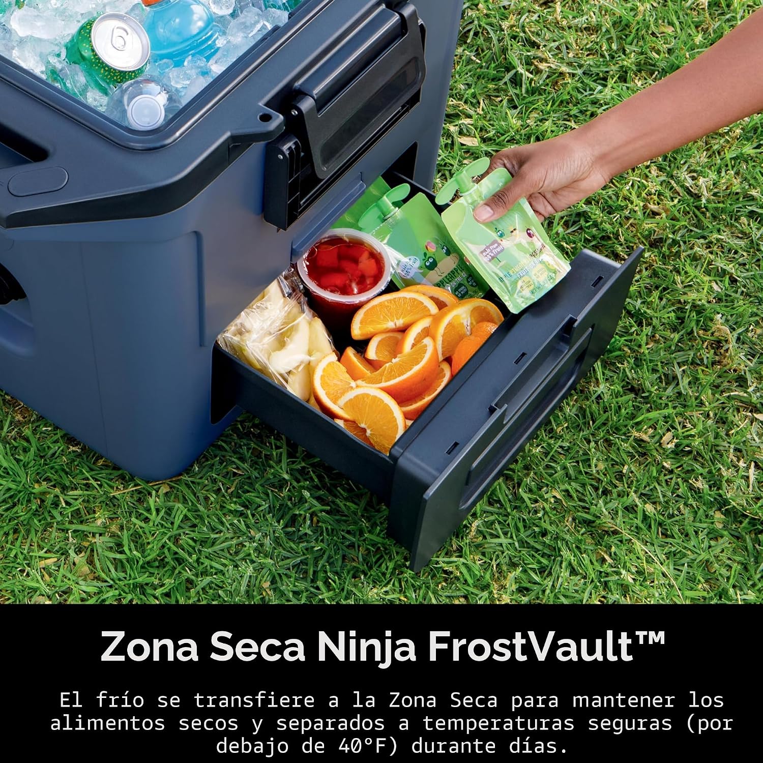 (LLEGANDO 1 DE SEPT) Hielera Cooler Ninja FrostVault 30 Qt / 28 L con Zona Seca – FB131CBL