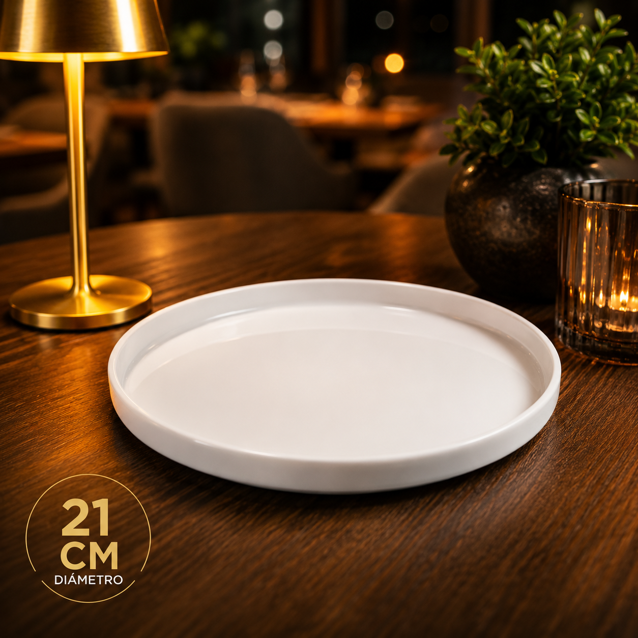Plato de Porcelana Blanco Redondo Circular 21cm | Calidad Profesional para Restaurante y Hoteles | 726-TR2310W