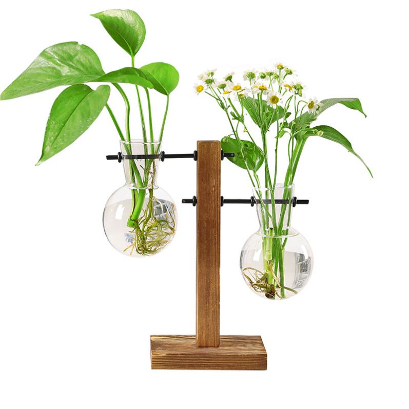 (LLEGANDO 27 DE MARZO) Soporte de Flores Plantas Hidropónico de 16ml x 2 41283